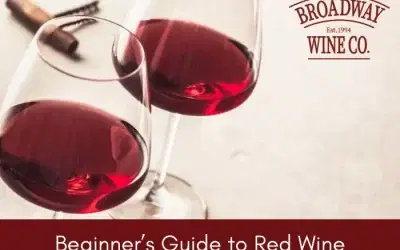 Beginner’s Guide to Red Wine