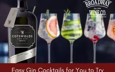 Easy Gin Cocktails for You to Try
